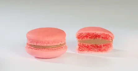 Mignon Macaron, foto ravvicinata